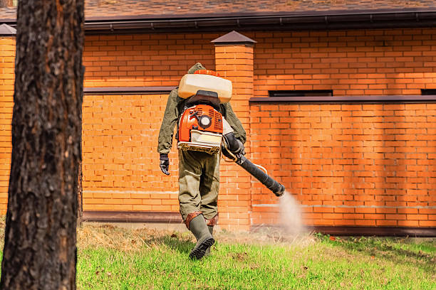Top rated local Wasp Removal specialists in Eastwood, MI